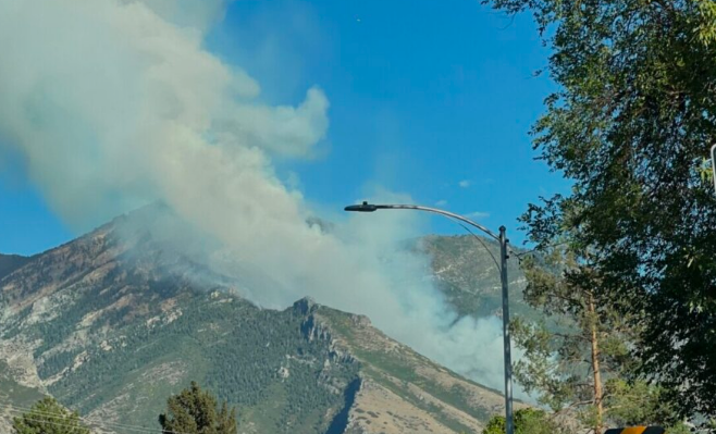 Wildfire Breaks Out in Buckley Draw Canyon, Provo